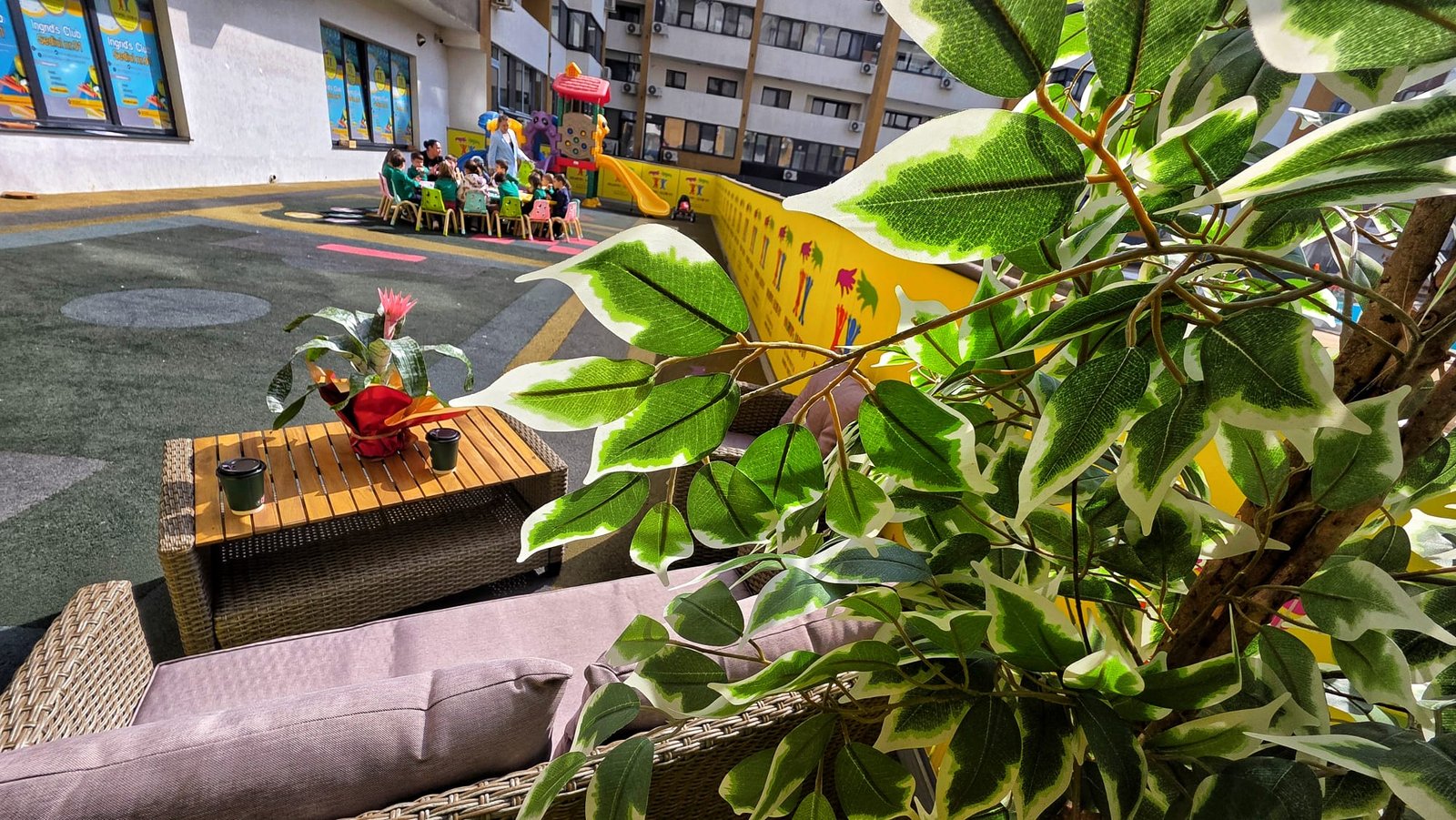 WhatsApp Image 2026-03-17 at 11.38.10 (1)